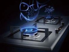 Brand Development Aligns with Market Demands